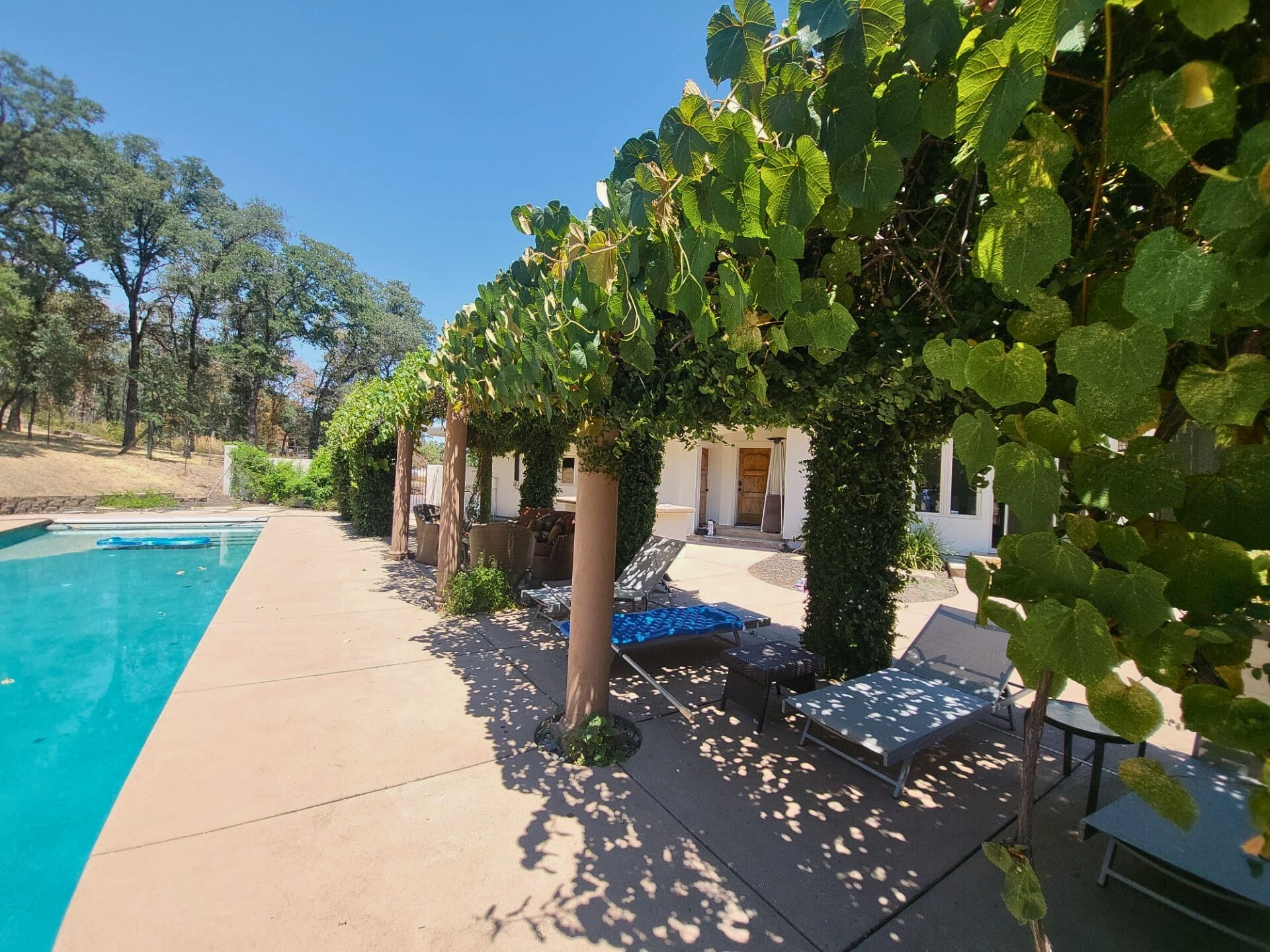 Before: angle 5. A backyard poolside view featuring a vine-covered pergola with wooden columns, outdoor furniture, and a built-in barbecue area, set against a white stucco house with a clear blue sky.